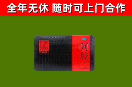 石排镇回收阿胶